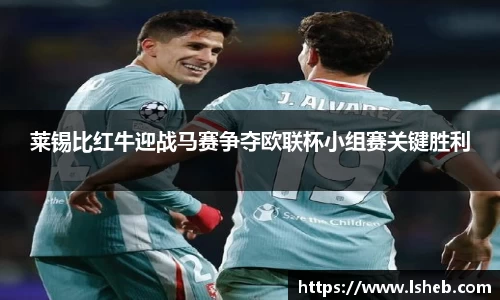 伟德官网莱锡比红牛迎战马赛争夺欧联杯小组赛关键胜利